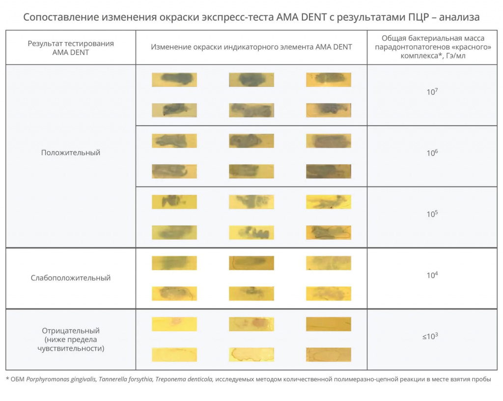 AMA DENT слайд 3 AMA DENT слайд 3